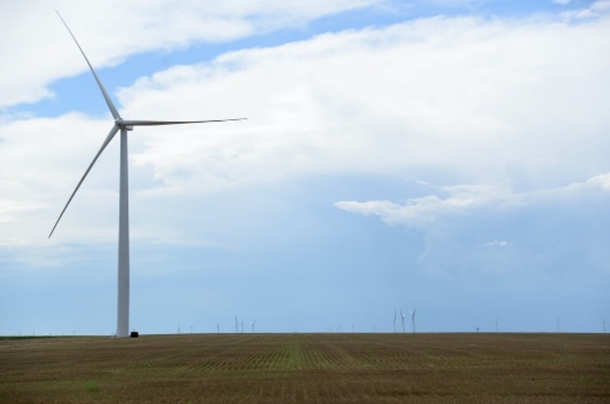 A crop field with a wind turbine close up, and many other wind turbines far away in the background.
